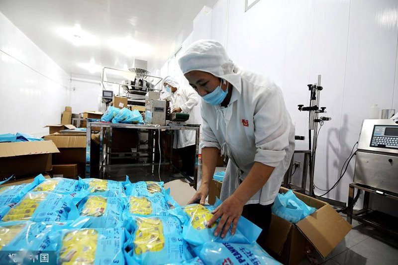 如何选择合适的域名？这是一个让许多初创企业头疼的问题。